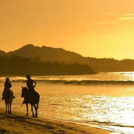 Pitaya Lodge Potrero  Ngoại thất bức ảnh