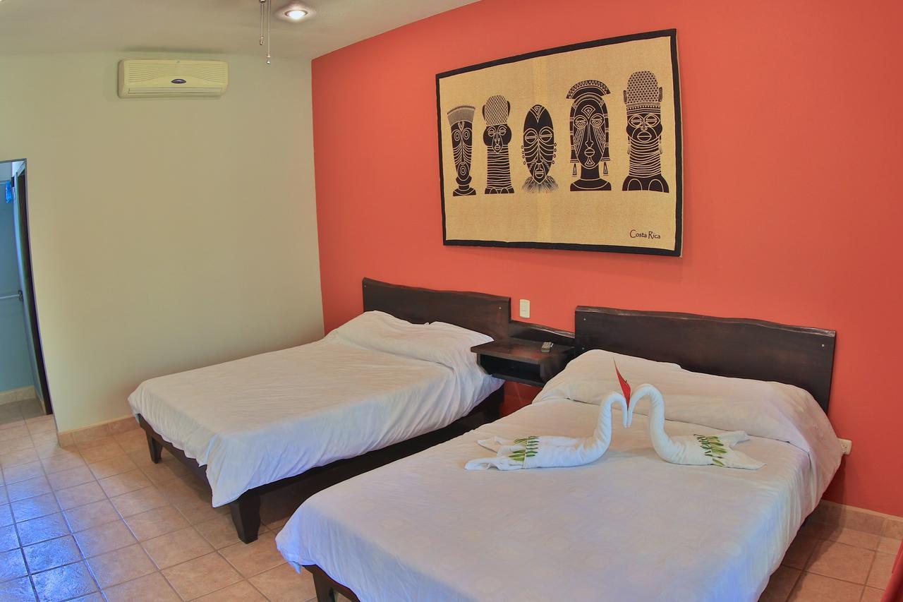 Pitaya Lodge Potrero  Ngoại thất bức ảnh