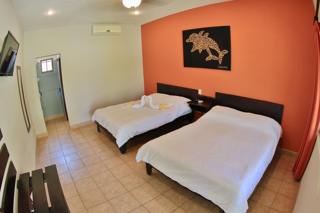 Pitaya Lodge Potrero  Ngoại thất bức ảnh